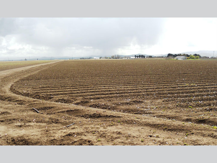 Natural_Resources_Mineral_Resource_01