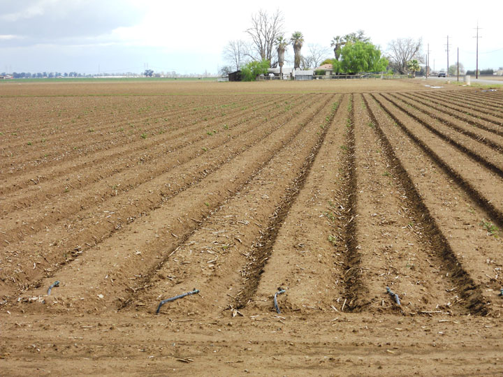 Natural_Resources_Mineral_Resource_03